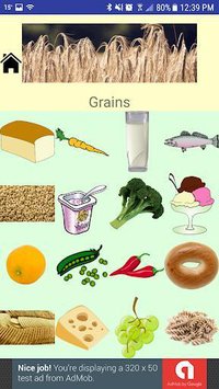 Food Group Sorting for Kids screenshot, image №1589670 - RAWG