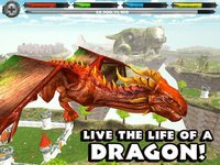 World of Dragons: Dragon Simulator screenshot, image №955179 - RAWG
