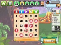 Bingo Casino HD! screenshot, image №890326 - RAWG