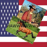 American Simulator (made by an american) screenshot, image №3599018 - RAWG