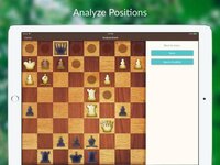 Chess Tactics and Lessons screenshot, image №2682053 - RAWG