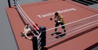 Tactic Boxing screenshot, image №4020648 - RAWG