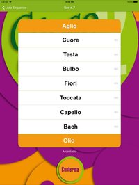 Gioco di Parole 2 screenshot, image №1671116 - RAWG