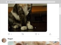 CatBlocker Plus screenshot, image №3592685 - RAWG