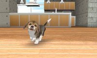 Nintendogs + Cats screenshot, image №1973980 - RAWG