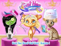 Cat Hair Salon Birthday Party - Virtual Kitty Care screenshot, image №2072279 - RAWG