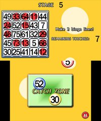 Bingo Collection screenshot, image №241829 - RAWG