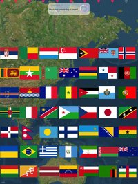 National Flag Touch screenshot, image №1812883 - RAWG