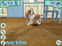 Dogz 6 screenshot, image №468962 - RAWG