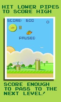 Pooper Bird (Poop Attack) screenshot, image №1413400 - RAWG