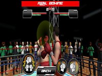 Punch Boxing Champions 2017 screenshot, image №1706005 - RAWG