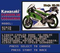 Kawasaki Caribbean Challenge screenshot, image №761933 - RAWG
