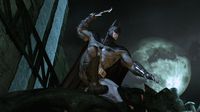 Batman: Arkham Asylum Game of the Year Edition screenshot, image №160529 - RAWG