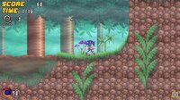 Sonic Frenzy Adventure screenshot, image №2530694 - RAWG