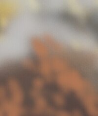 Riders screenshot, image №4100285 - RAWG