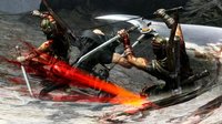 Ninja Gaiden 3 screenshot, image №564184 - RAWG