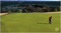 Tiger Woods PGA Tour Online screenshot, image №530829 - RAWG