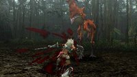 Monster Hunter Freedom screenshot, image №1868418 - RAWG