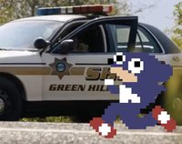 The Hedgehog: The Movie: The Game screenshot, image №1984509 - RAWG