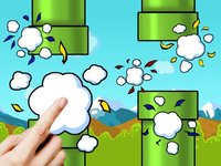 Flappy Smash: The Bird Hunting - Best Quick Arcade Game for Time Killing to The Fun of Whole Family screenshot, image №2147460 - RAWG