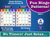 Totally Bingo! by Boy Howdy screenshot, image №888743 - RAWG