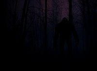 Zombie Shooter XI screenshot, image №2325005 - RAWG
