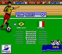FIFA: Road to World Cup 98 screenshot, image №729589 - RAWG