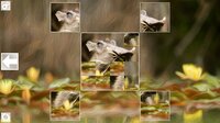 Puzzle Art: Artiodactyls screenshot, image №3076682 - RAWG