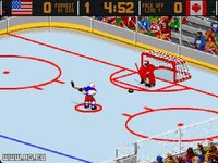 World Hockey '95 screenshot, image №336541 - RAWG