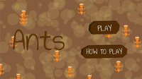 Ants (dilucin) screenshot, image №1949606 - RAWG