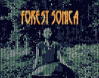 Forest Sonica screenshot, image №1627055 - RAWG