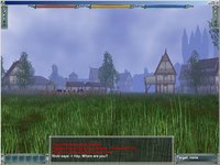 Darkfall Online screenshot, image №351397 - RAWG