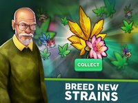 Hempire - Weed Growing Game screenshot, image №2045787 - RAWG