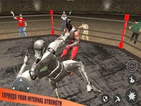 World Robot Fighting: Boxing C screenshot, image №1882939 - RAWG