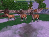 Zoo Tycoon 2: Endangered Species screenshot, image №428260 - RAWG