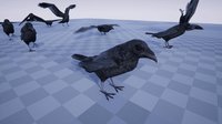 BirdVR screenshot, image №2134784 - RAWG