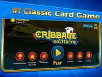 Cribbage Solitaire Challenge screenshot, image №2341704 - RAWG