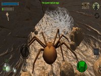 Spider Colony Simulator screenshot, image №2174346 - RAWG