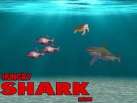 Shark Tank - 3D screenshot, image №1757057 - RAWG