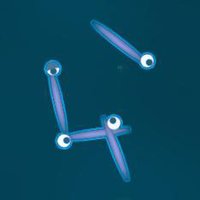 Gene Pool screenshot, image №1994282 - RAWG
