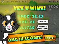 Meowzers! Cute Cats Purr screenshot, image №947293 - RAWG