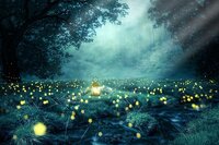 Lucioles (Raidez) screenshot, image №2952961 - RAWG