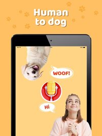 Dog sounds: Animal translator screenshot, image №2873574 - RAWG