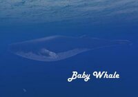 Baby Whale screenshot, image №2691320 - RAWG