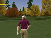 ProStroke Golf: World Tour 2007 screenshot, image №445394 - RAWG