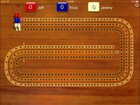 Cribbage Pegboard screenshot, image №2033360 - RAWG