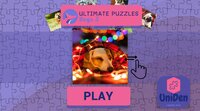 Ultimate Puzzles Dogs 3 screenshot, image №3170239 - RAWG