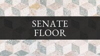 Senate Floor screenshot, image №3212455 - RAWG