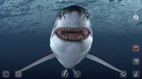 Talking Great White: My Pet Shark PRO screenshot, image №967962 - RAWG