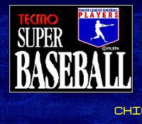 Tecmo Super Baseball screenshot, image №760567 - RAWG